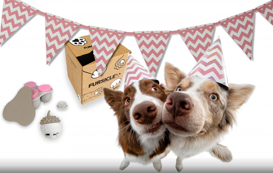 A New Chapter for FurGoods!