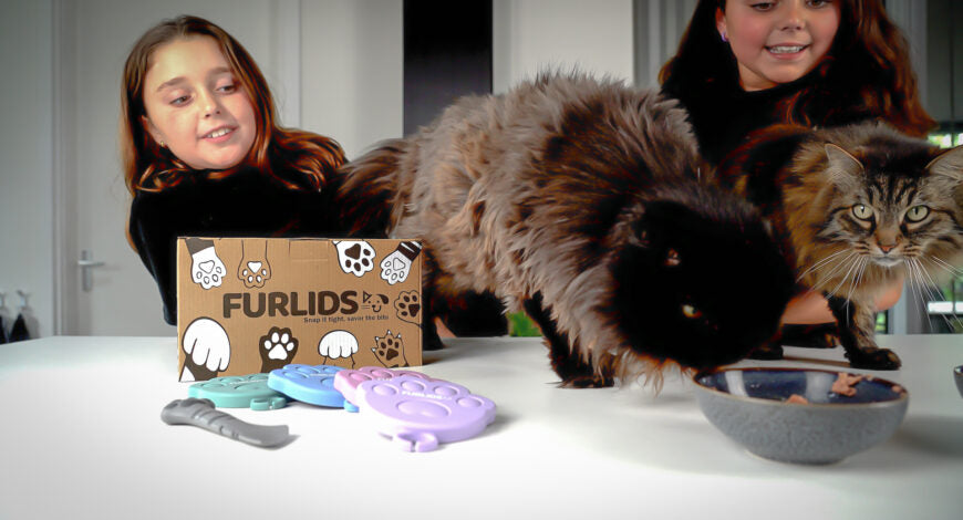 Our FurLids Infomercial Is Now Live on Amazon