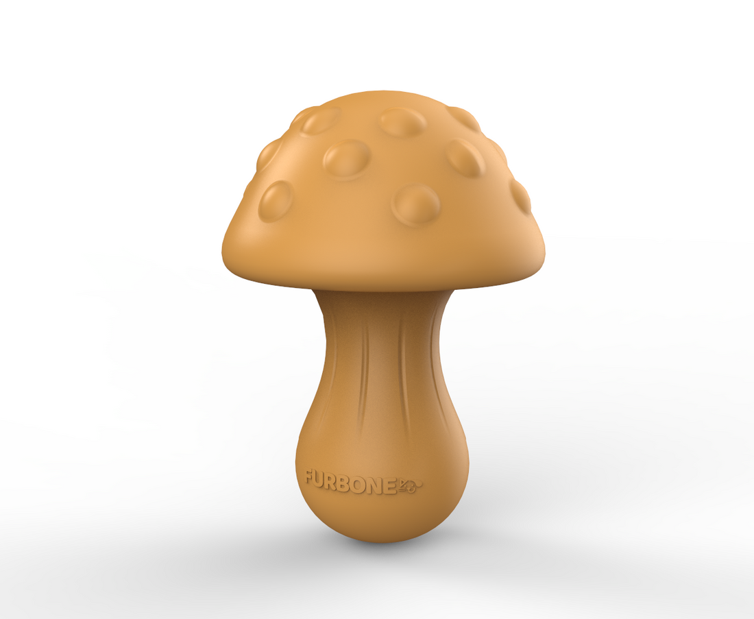 New Product Coming Soon – FurBone!