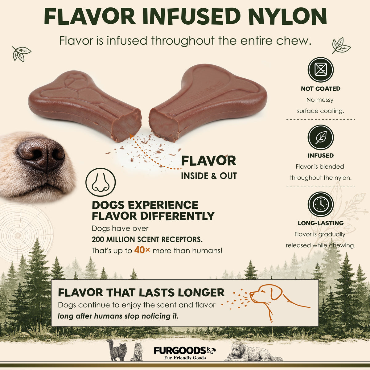 FURBONE Forest Feast Beef Flavored Nylon Dog Chew Bone, Small Medium Breeds