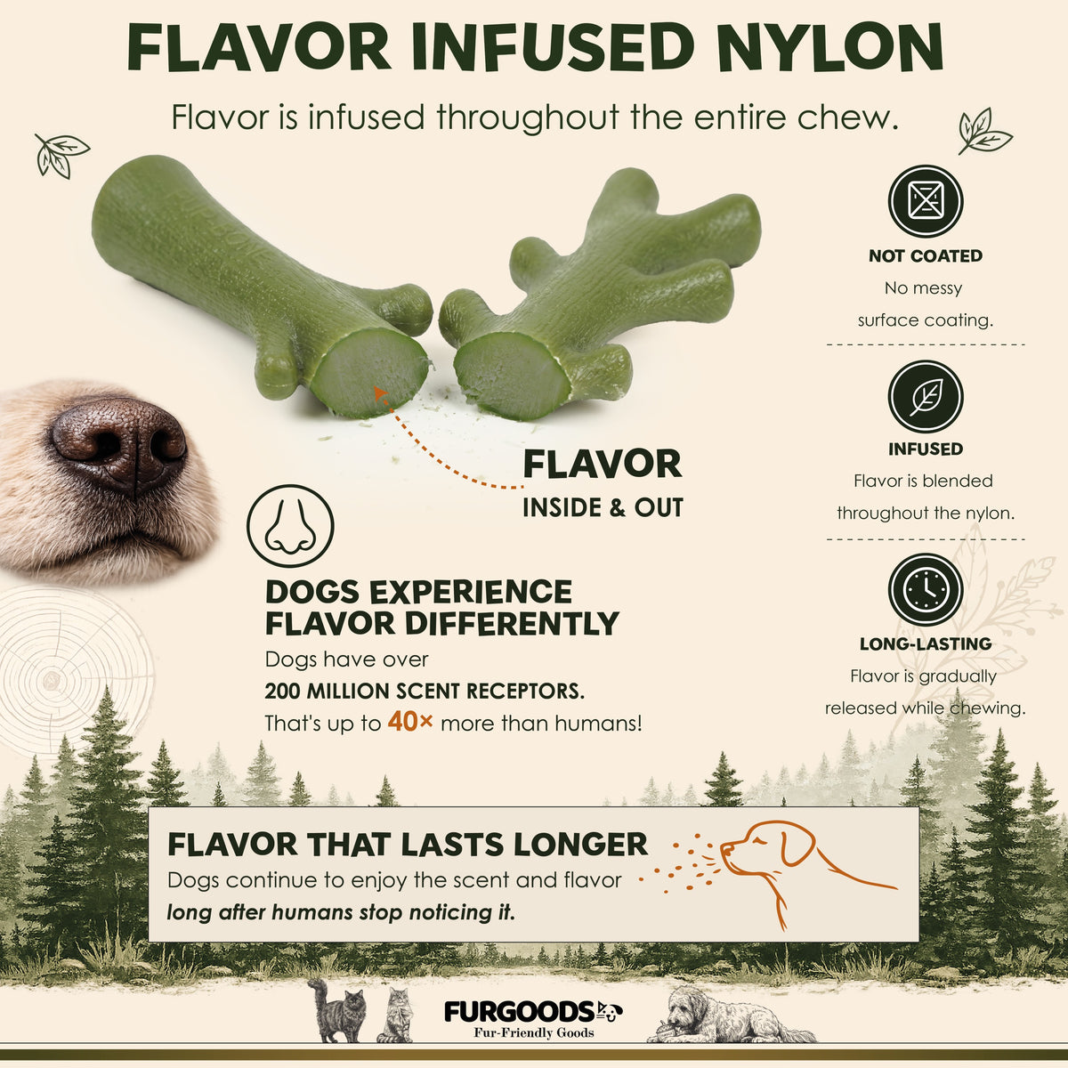 FURBONE Smaakvolle Nylon Honden Kauwspeeltjes 4 Stuks, Botten voor Kleine & Middelgrote Honden